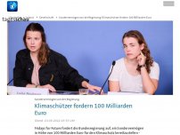 Bild zum Artikel: Fridays for Future fordert Sondervermögen fürs Klima