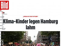 Bild zum Artikel: „Fridays for Future“ - Klima-Kinder legen Hamburg lahm