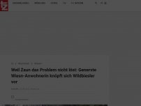 Bild zum Artikel: Weil Zaun das Problem nicht löst: Genervte Wiesn-Anwohnerin knöpft sich Wildbiesler vor