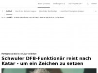 Bild zum Artikel: Schwuler DFB-Funktionär reist nach Katar<br>