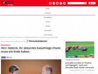 Bild zum Artikel: Kommentar: Herr Habeck, Ihr absurdes Gasumlage-Chaos muss ein...