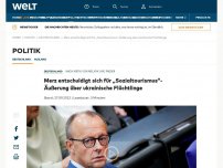 Bild zum Artikel: Friedrich Merz wirft ukrainischen Flüchtlingen „Sozialtourismus“ vor