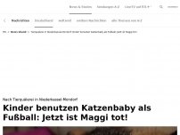 Bild zum Artikel: Kinder benutzen Katzenbaby als Fußball<br>