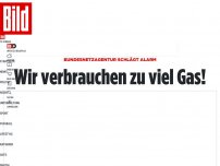 Bild zum Artikel: Bundesnetzagentur schlägt Alarm - Wir verbrauchen zu viel Gas!