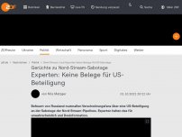 Bild zum Artikel: Experten: Keine Belege für US-Beteiligung