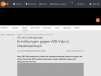 Bild zum Artikel: Ermittlungen gegen AfD-Vize in Niedersachsen