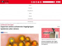 Bild zum Artikel: Auf Menschen übertragbar - Schwerste Vogelgrippe-Epidemie aller Zeiten - was Sie jetzt wissen müssen