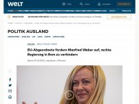 Bild zum Artikel: EU-Abgeordnete fordern Manfred Weber auf, rechte Regierung in Rom zu verhindern