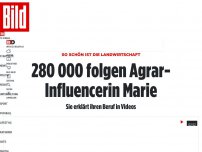 Bild zum Artikel: So schön ist die Landwirtschaft - 280 000 folgen Agrar-Influencerin Marie