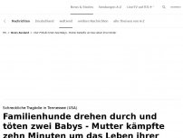 Bild zum Artikel: Familienhunde töten zwei kleine Babys<br>