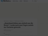 Bild zum Artikel: „Manchmal fehlen uns einfach nur die Worte“: Lucky nach zwei Tagen zurück ins Tierheim gebracht