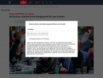 Bild zum Artikel: Partei will Waffen für Ukraine: Die Grünen sind jetzt eine Kriegspartei für den Frieden