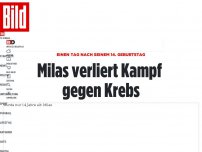 Bild zum Artikel: Tag nach 14. Geburtstag - Milas verliert Kampf gegen Krebs