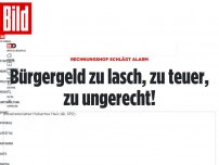 Bild zum Artikel: Rechnungshof schlägt Alarm - Bürgergeld zu lasch, zu teuer, zu ungerecht!