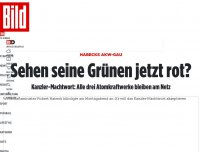 Bild zum Artikel: Machtwort von Kanzler Scholz - Alle drei Atomkraftwerke laufen weiter!