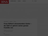 Bild zum Artikel: Frau füttert streunenden Kater – als Dank bringt er ganze Familie mit