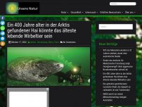 Bild zum Artikel: Ein 400 Jahre alter in der Arktis gefundener Hai könnte das älteste lebende Wirbeltier sein