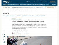 Bild zum Artikel: Endlich kommt das Aus für Pferdekutschen in Städten