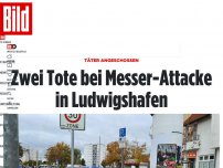 Bild zum Artikel: Täter angeschossen - Zwei Tote bei Messer-Attacke in Ludwigshafen