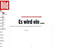 Bild zum Artikel: Blümchen hochschwanger - Es wird ein …