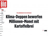 Bild zum Artikel: Im Potsdamer Museum Barberini - Klima-Kleber kippen Brei auf Monet!