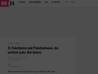 Bild zum Artikel: 15 Paketboten und Paketbotinnen, die wirklich jedes Mal liefern