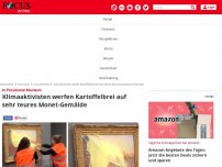 Bild zum Artikel: In Potsdamer Museum: Klimaaktivisten werfen Kartoffelbrei auf...