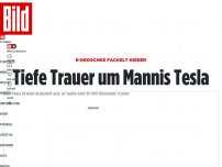 Bild zum Artikel: E-Droschke fackelt nieder - Tiefe Trauer um Mannis Tesla