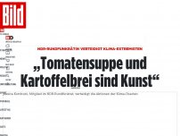 Bild zum Artikel: Rundfunkrätin verteidigt Klima-Chaoten - „Tomatensuppe und Kartoffelbrei sind Kunst“