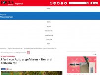 Bild zum Artikel: Drama im Norden - Pferd von Auto angefahren – Tier und Reiterin tot