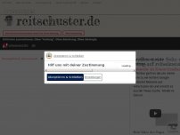 Bild zum Artikel: Sie wollen meine Seite vernichten: Google verbietet Werbung auf reitschuster.de