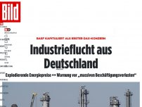 Bild zum Artikel: BASF kapituliert als erster Dax-Konzern - Industrieflucht aus Deutschland