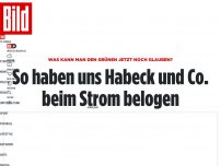 Bild zum Artikel: Was kann man den Grünen jetzt noch glauben? - So haben uns Habeck und Co. beim Strom belogen