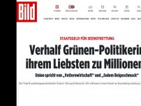 Bild zum Artikel: Acht Millionen für Seenotrettung - Verhalf Grünen-Politikerin ihrem Liebsten zu Millionen?