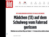 Bild zum Artikel: Mädchen hatte Kabelbinder an den Händen - 13-Jährige gefesselt im Wald gefunden