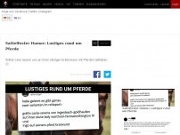 Bild zum Artikel: Sattelfester Humor: Lustiges rund um Pferde