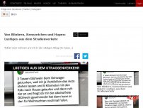 Bild zum Artikel: Von Blinkern, Kennzeichen und Hupen: Lustiges aus dem Straßenverkehr