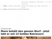 Bild zum Artikel: Mann lebt mit 13 Golden Retrievern<br>