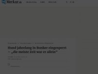 Bild zum Artikel: Hund jahrelang in Bunker eingesperrt – „die meiste Zeit war er allein“