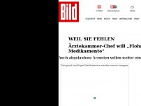 Bild zum Artikel: Ärztekammer-Chef - „Flohmärkte für Medikamente“