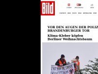 Bild zum Artikel: Am Brandenburger Tor - Klima-Kleber schneiden Weihnachtsbaum-Spitze ab!