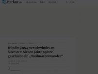 Bild zum Artikel: Hund läuft weg – sieben Jahre später kommt es zum „tränenreichen Wiedersehen“