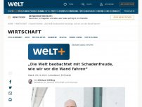 Bild zum Artikel: „Die Welt beobachtet mit Schadenfreude, wie wir vor die Wand fahren“