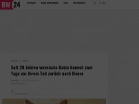 Bild zum Artikel: Seit 20 Jahren vermisste Katze kommt zwei Tage vor ihrem Tod zurück nach Hause