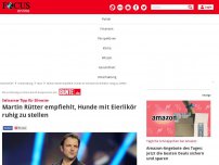 Bild zum Artikel: Seltsamer Tipp für Silvester: Martin Rütter empfiehlt, Hunde...