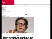 Bild zum Artikel: Jetzt schießen auch Grüne gegen Radetzky-Marsch