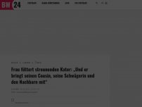 Bild zum Artikel: Frau füttert streunenden Kater: „Und er bringt seinen Cousin, seine Schwägerin und den Nachbarn mit“