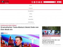 Bild zum Artikel: Gastbeitrag von Gabor Steingart: Dramatischer Tesla-Absturz...