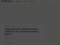 Bild zum Artikel: Flügel gebrochen: Polizisten retten verletzten Uhu auf Bundesstraße in Bayern