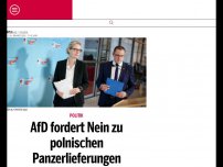 Bild zum Artikel: AfD fordert Nein zu polnischen Panzerlieferungen